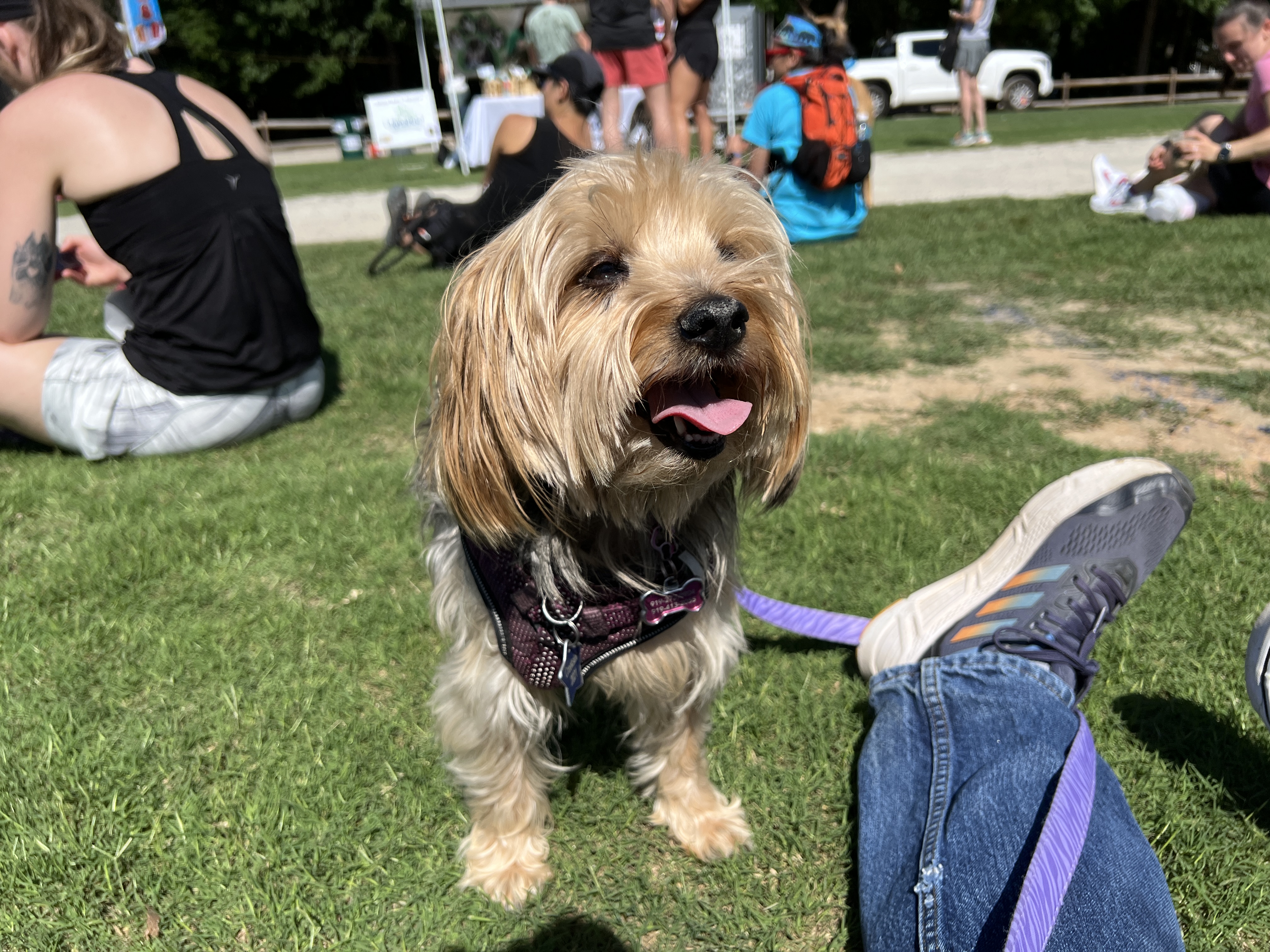 ./2025/05 - Second Chance Race for Rescues/IMG_5657.JPG